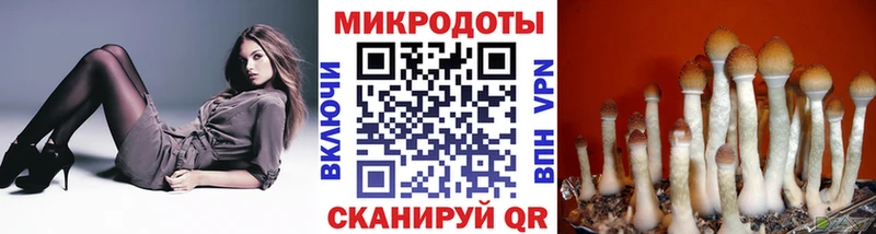 Псилоцибиновые грибы мицелий  Купить закладки  Темрюк 